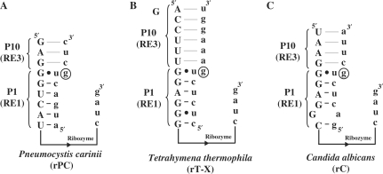 Figure 2.