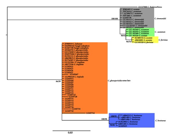 Figure 1