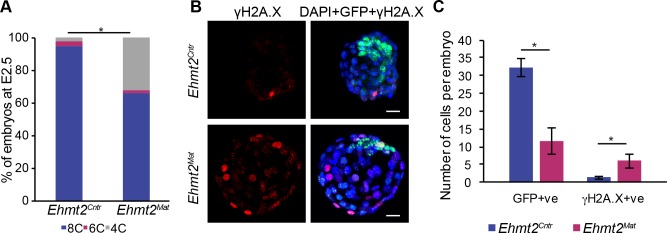 Figure 2—figure supplement 1.