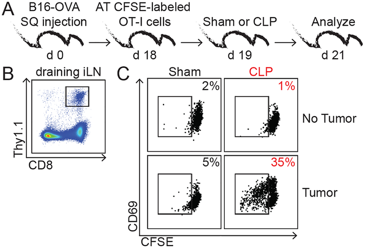 Fig 3.