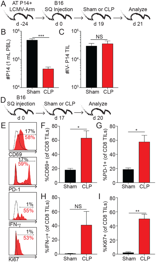 Fig 2.