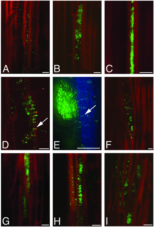 FIG.6.