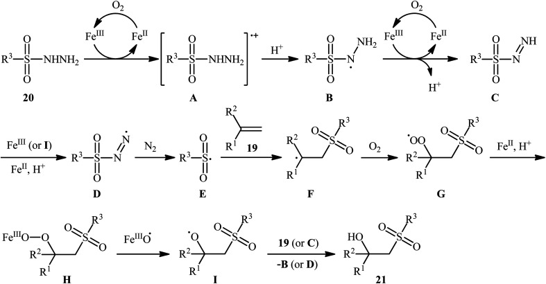 Scheme 13