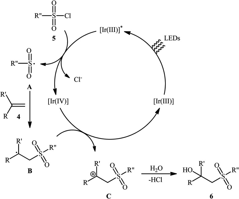 Scheme 5