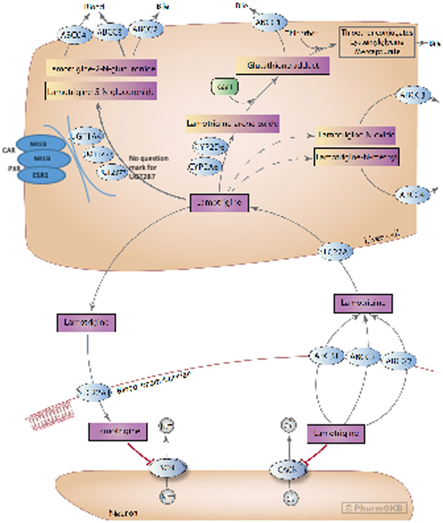 graphic file with name nihms-1885875-f0001.jpg