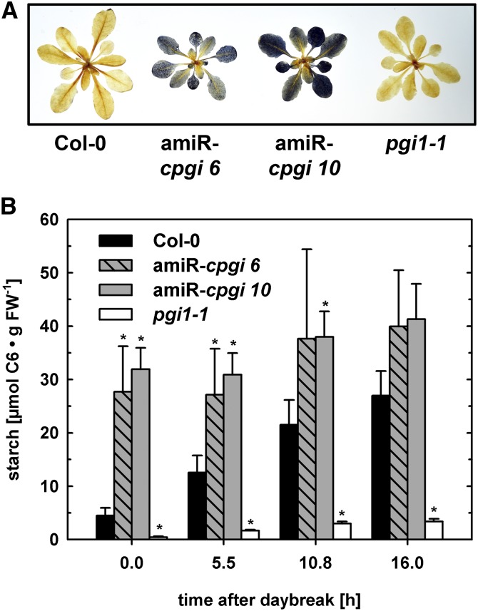 Figure 5.