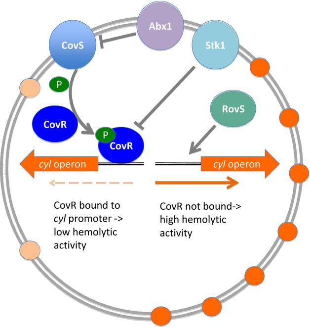 Fig 3