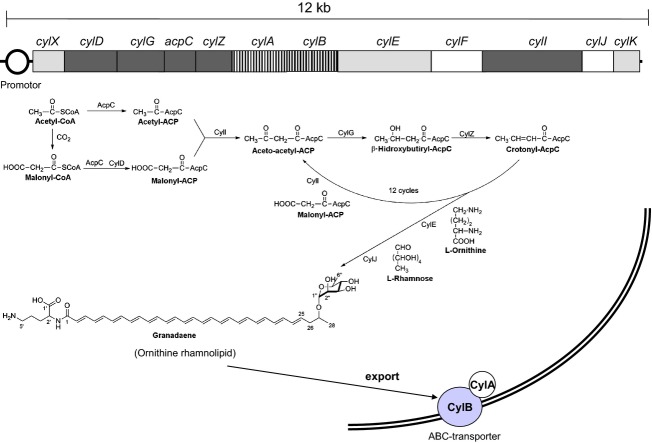 Fig 2