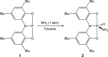 Scheme 2