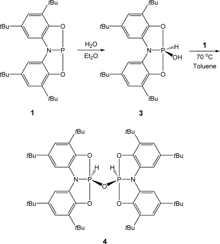 Scheme 3