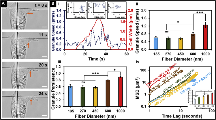 Figure 4