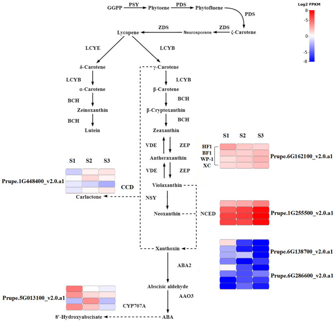 Figure 6