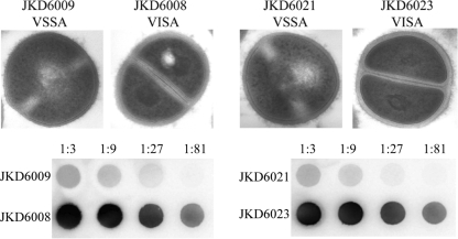 FIG. 5.