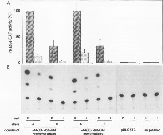 graphic file with name molcellb00011-0158-a.jpg