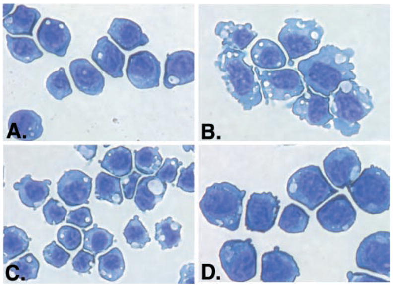 Fig. 8