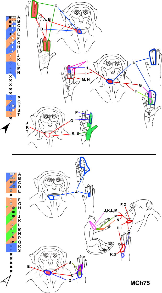 Fig. 7