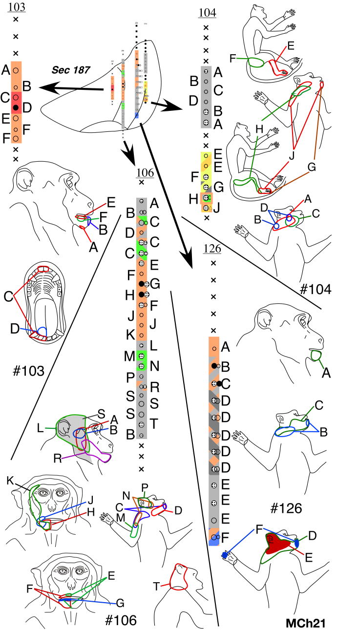 Fig. 18