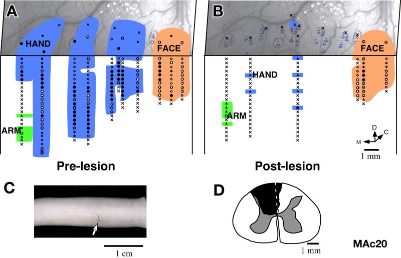 Fig. 16