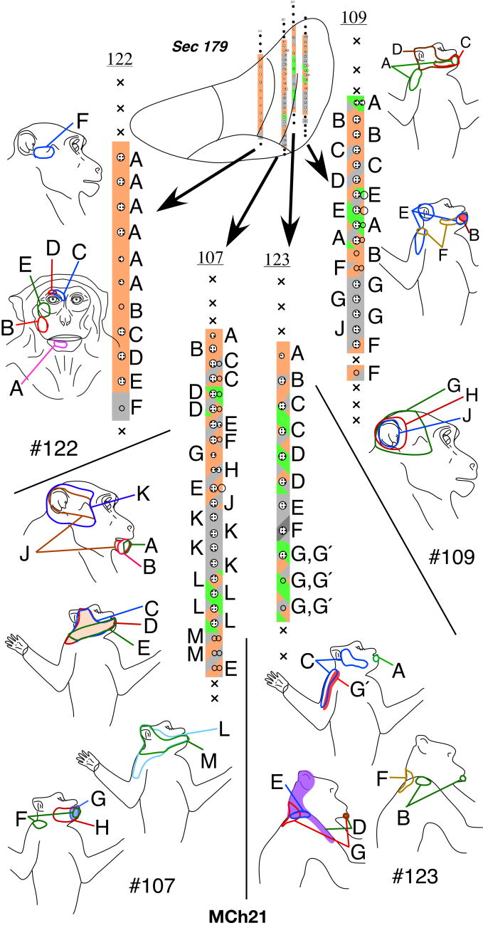 Fig. 19