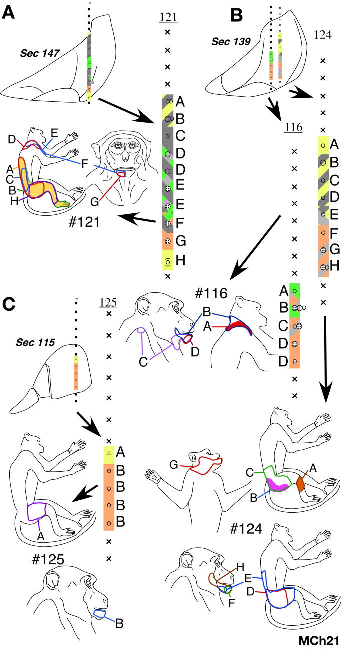 Fig. 22