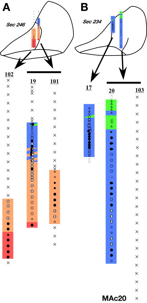 Fig. 23