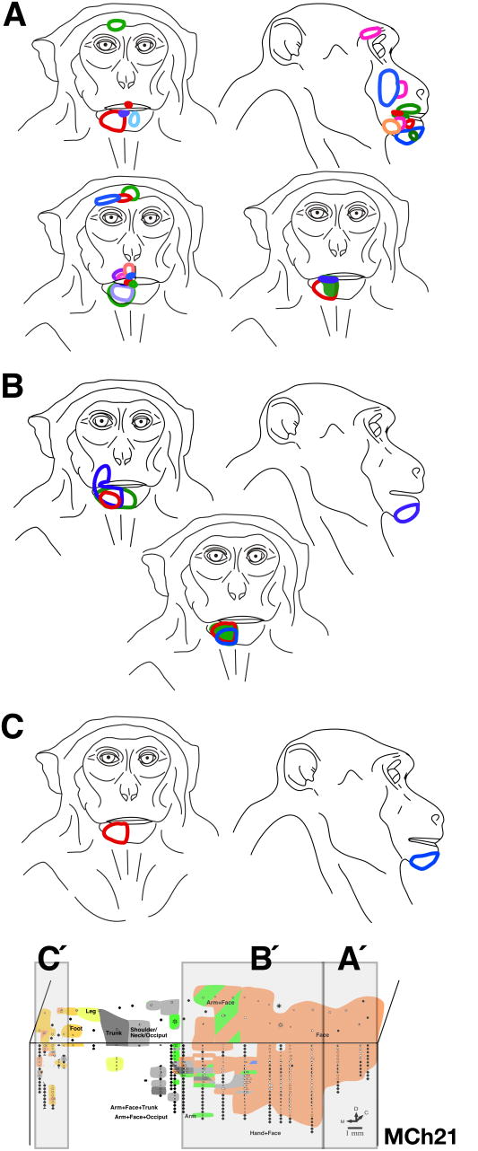 Fig. 13