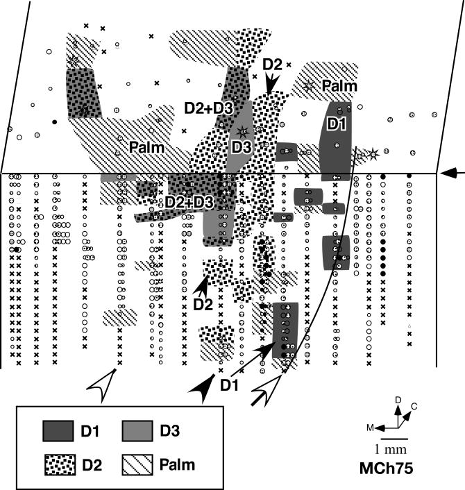 Fig. 8