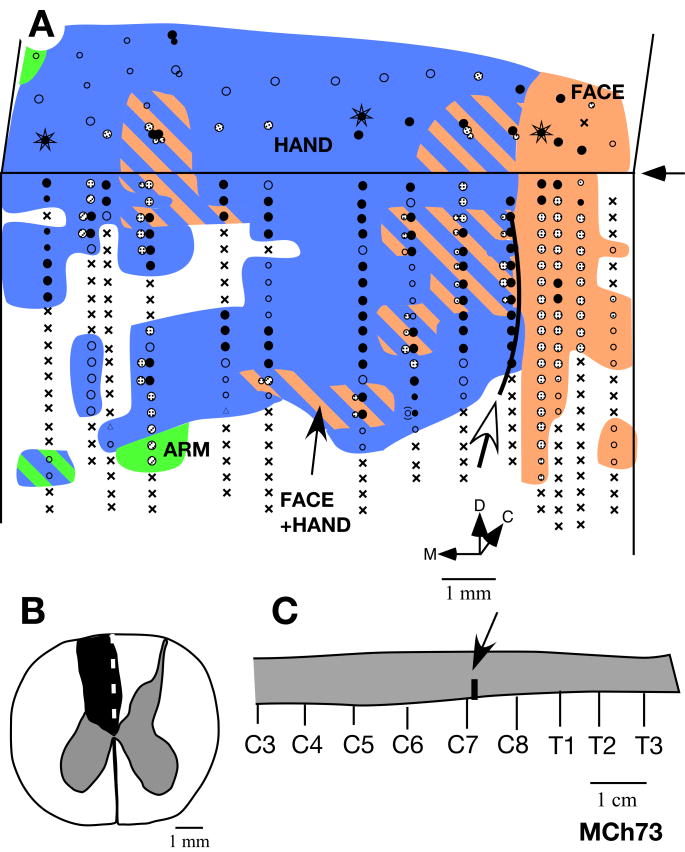 Fig. 9