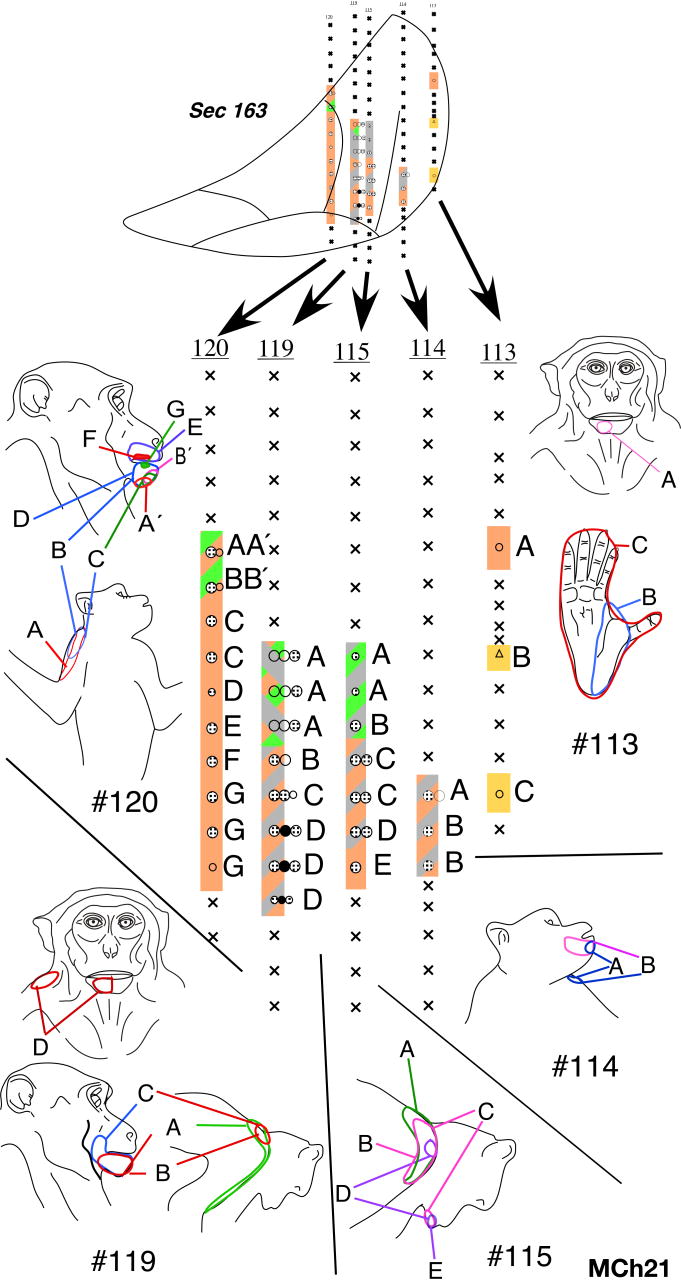 Fig. 21