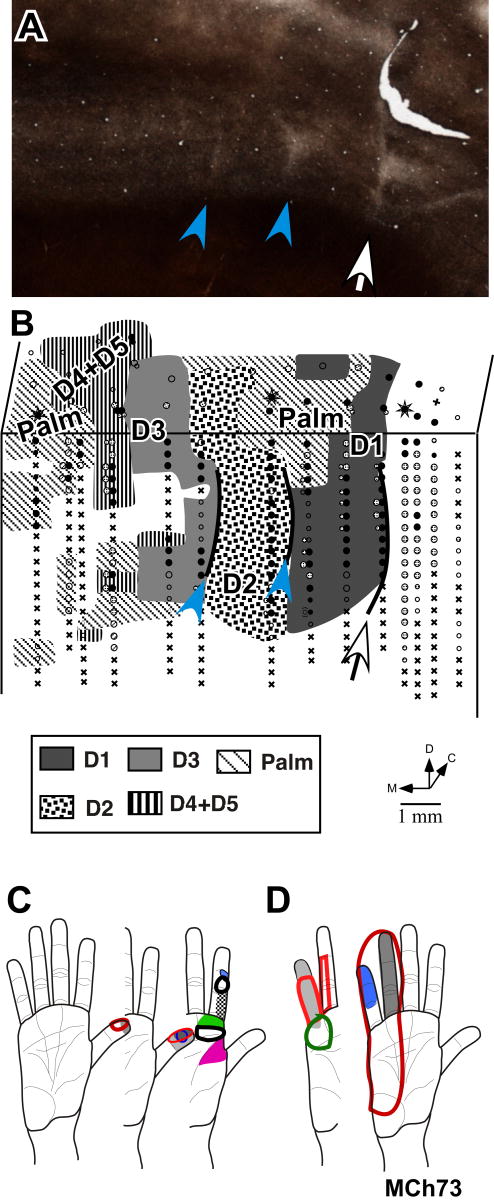 Fig. 11