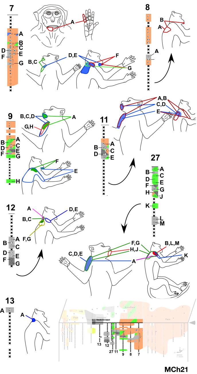 Fig. 14