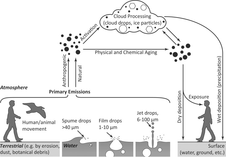 FIG 1