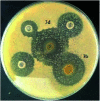Fig. 9