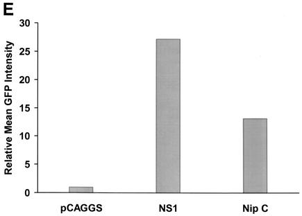 FIG. 5.