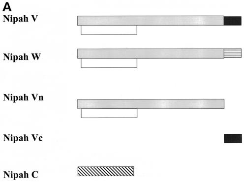 FIG. 5.