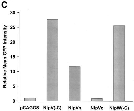 FIG. 5.