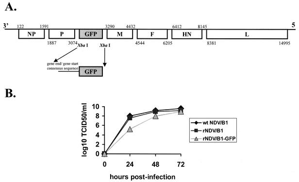 FIG. 1.