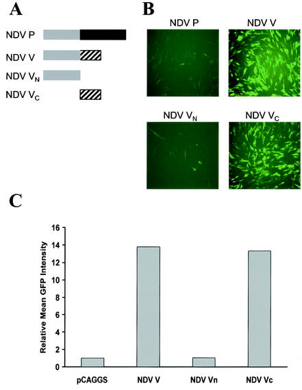 FIG. 4.