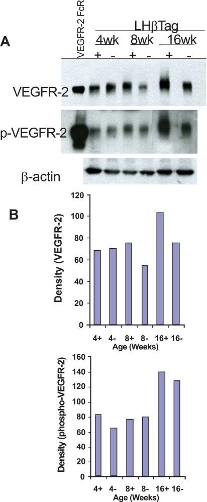 Fig. (2).