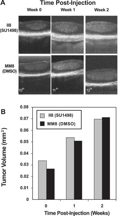 Fig. (4).