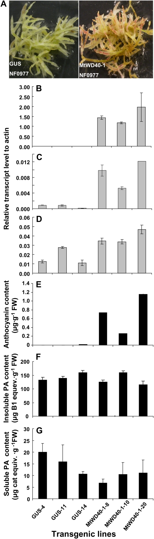 Figure 5.