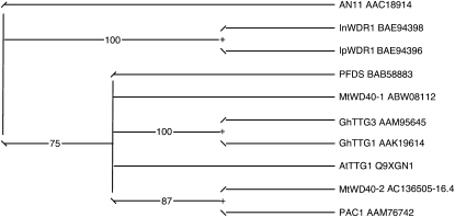 Figure 4.