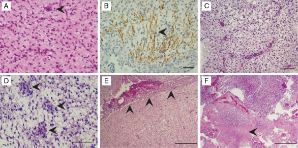 Fig. 3.