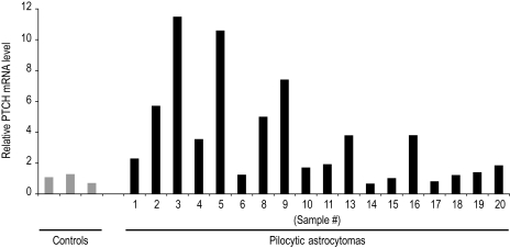 Fig. 1.