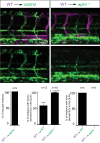 Figure 3—figure supplement 2.