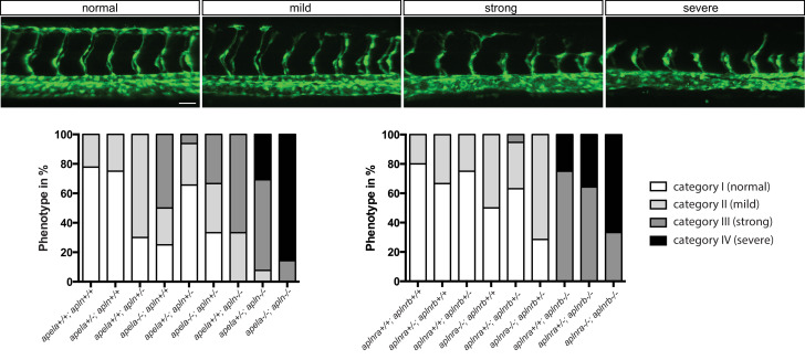 Figure 1—figure supplement 3.