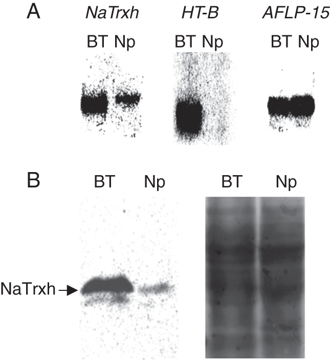 Fig. 3.