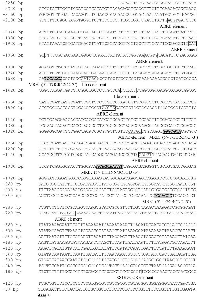 Fig 9