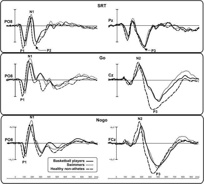 FIG. 2.