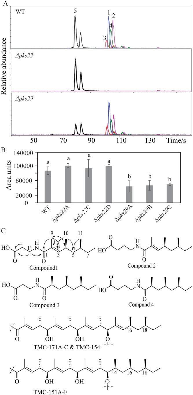 Figure 5